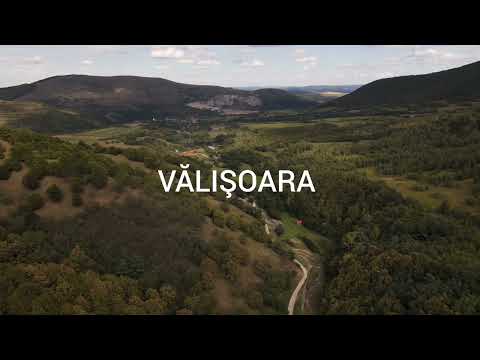 Păşuni cu arbori: Vălişoara