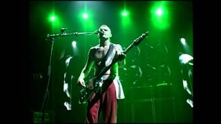 RED HOT CHILI PEPPERS - PEA (HD)