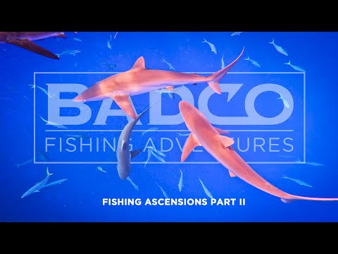 Fishing Ascension Island Part 2: Chasing Blue Marlin through a FRENZY of shark at Ascension Island