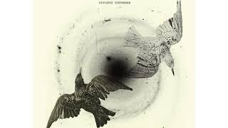 The Coral - Distance Inbetween