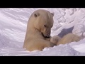 BBC Earth 2007