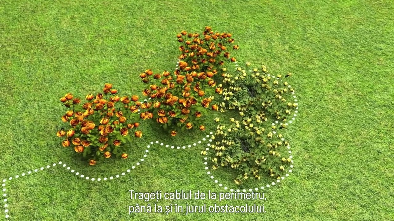 Video 1