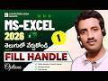 01 Ms Excel 2025 Telugu Tutorials Fill Handle In Excel Telugu No Series Date Series