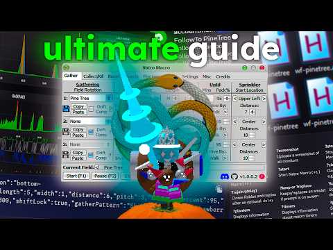 The Last Natro Macro Guide You'll Need