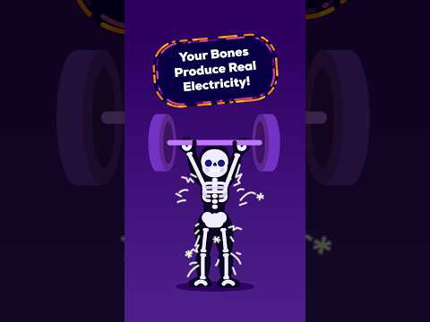 Your Skeleton Is Electric