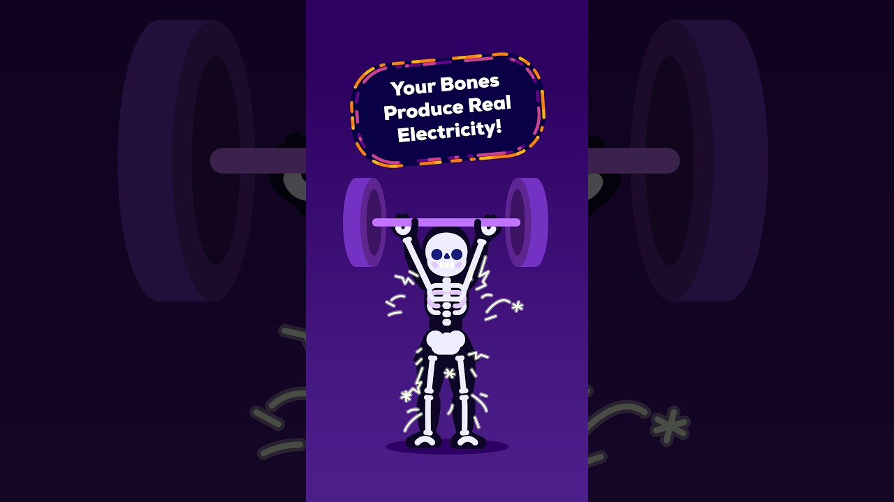 Your Skeleton Is Electric