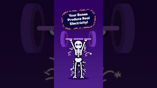 Bones Generate Electricity — Full Breakdown & Transcript