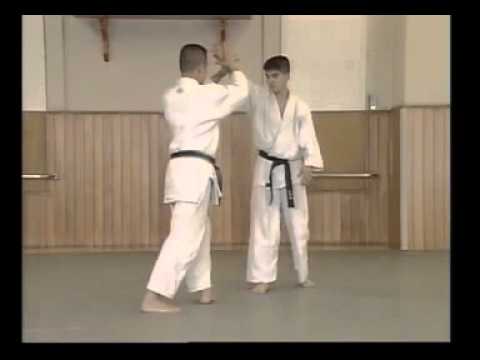 Shomen uchi nikajo osae 2