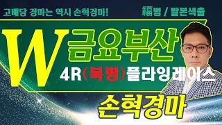 고배당 경마는 역시 손혁 경마 11/21(금)부산 복병마 내용을 확인해 보세요!!