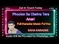 Phoolon Sa Chehra Tera Anari Hindi Karaoke