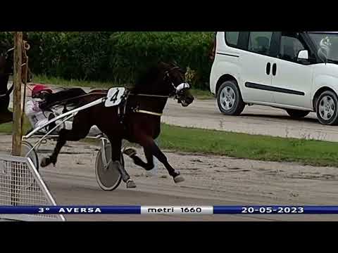 Aversa trotto 20 Maggio 2023 - 3° Corsa