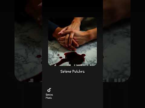 Seléne Pulchra