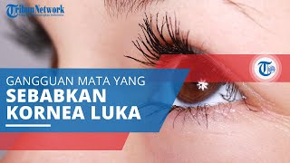 Abrasi Kornea, Gangguan Mata yang Menyebabkan Kornea Mata Mengalami Luka akibat Gesekan Benda
