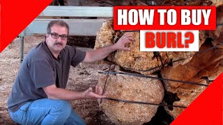 Burl Hunter - How to buy Burl