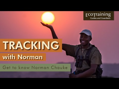 Tracking with Norman | Episode 1