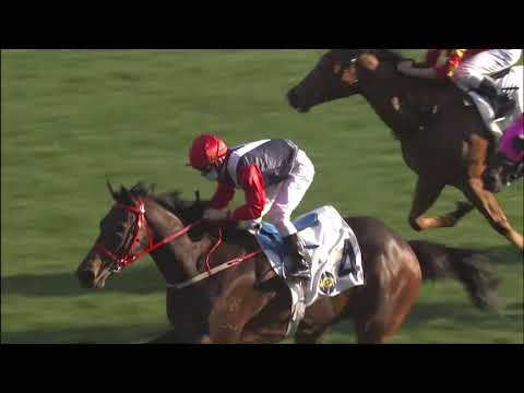 6/2/2021 (409) Trillion Win - Matthew Chadwick