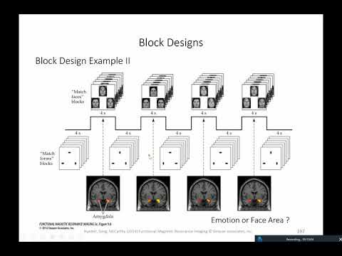 Block and event-related designs