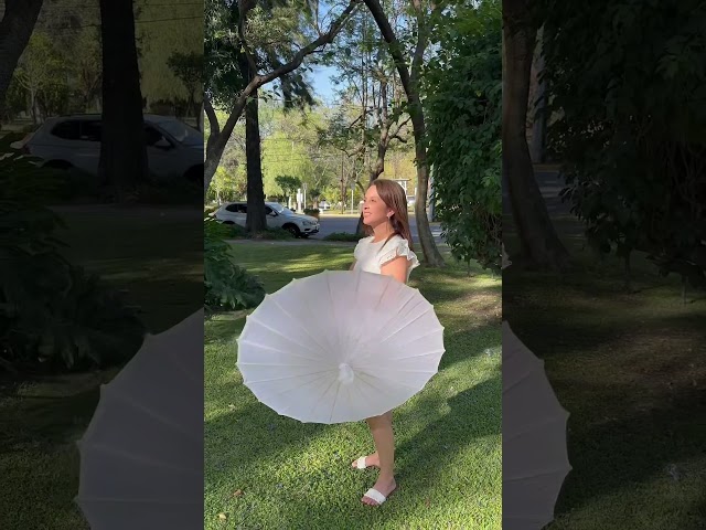 Vídeo relacionado con Lote de 20 Parasoles Blanco Papel Bambú para Bodas 70 cm - Comprar Parasoles, paraguas para decoración y Detalles de Bodas