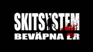 Skitsystem - Beväpna Er