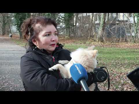 Fliegerbombe bei Bauarbeiten in Moosach entdeckt