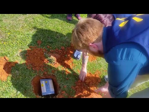Walmart Holds Funeral For Dead Bird Who Hit Window