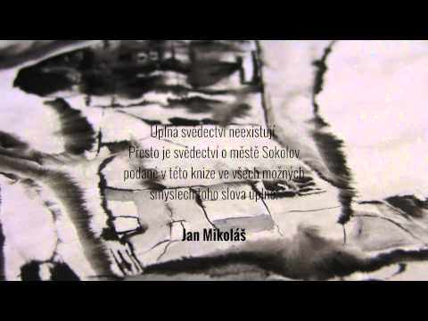 Sokolov (román o městě)