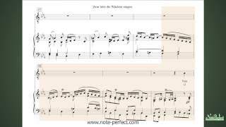 Zion hört die Wächter singen (Zion hears her watchmen's voices)  - J. S. Bach - Accompaniment BWV140