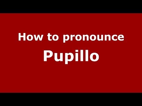 How to pronounce Pupillo (Italian/Italy) - PronounceNames.com