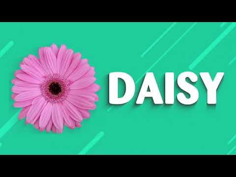 Learn 10 Flowers Names @ Shashini Dulakshi