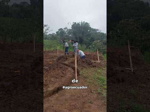 PRIMERA FASE GEOTANQUES SAN MIGUEL DE LOS BANCOS