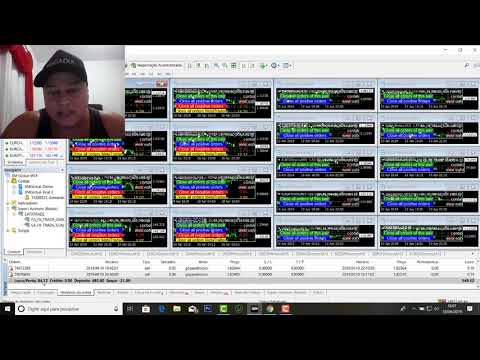 Robô Forex O Melhor Robô Trader Do Mercado