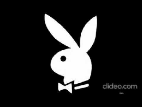 Saso Bricks- Chiken Polo