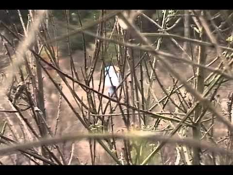 20030103 Paramount Park