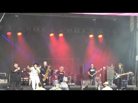 Brownout - Flood City Music Festival 2019 - The Wizard