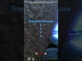 Transform Kitsune Combo THX FOR 1k VIEWS Fyp Bloxfruits