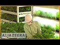 Earthrise - Japan's Future Farms Earthrise - Japan's Future Farms