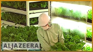 Earthrise - Japan&#39;s Future Farms