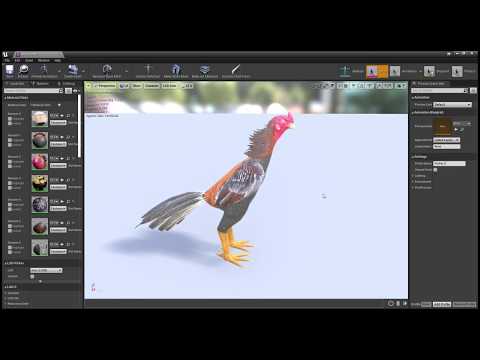 UE4 - Fighting Rooster | Preview