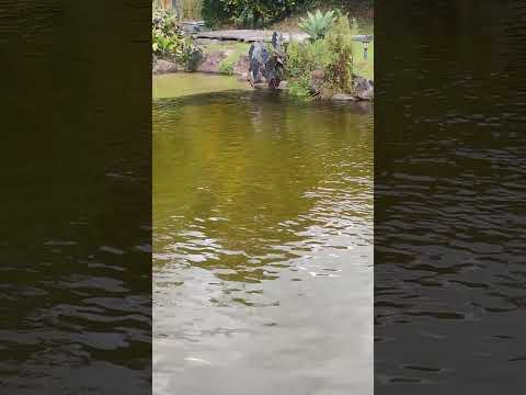 Ibiraçu espírito santo #cicloviagem #cicloviajante #nomade