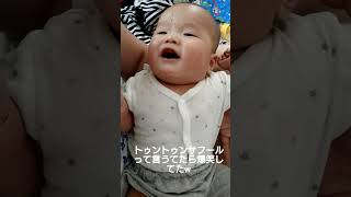 たまに入る赤ちゃんの大爆笑のスイッチ