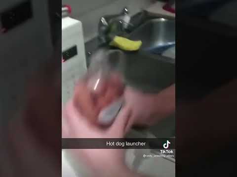 Hot Dog Laucher meme