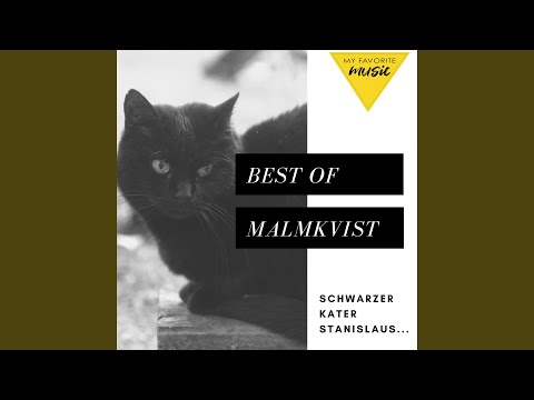 Schwarzer Kater Stanislaus