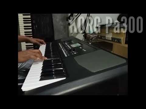 Tes KORG Pa300