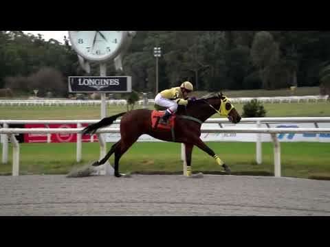 220625 c08 TRUCK HONOUR