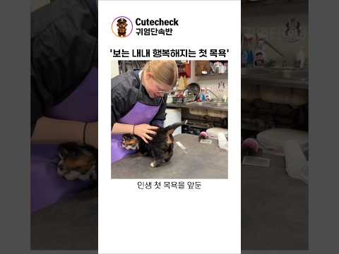 천사 미용사 만난 버니즈의 첫 목욕😭