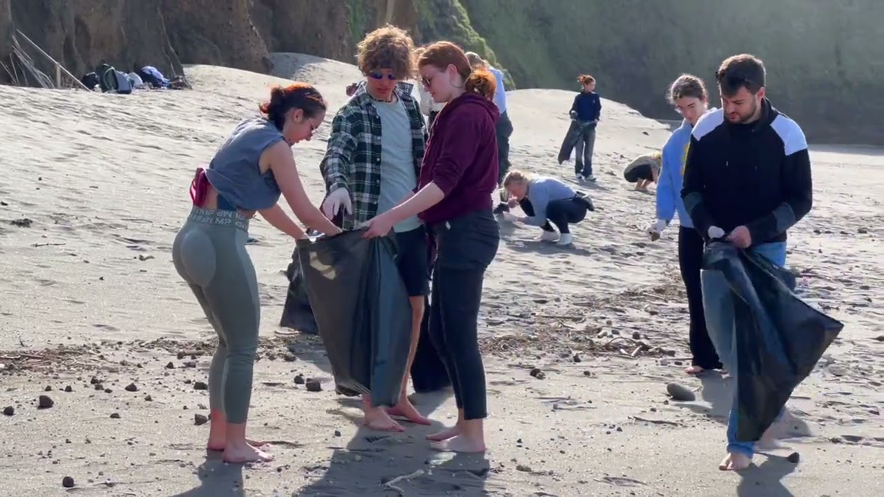 Pro Active Azores   Beach Cleanup