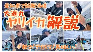 【愛知県で話題沸騰】大進丸ヤリイカの仕掛けと釣り方を解説！