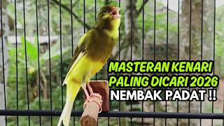 Download lagu MASTERAN KENARI GACOR NGEROL PANJANG COCOK UNTUK PANCINGAN Kenari Paud AGAR cepat GACOR!! mp3