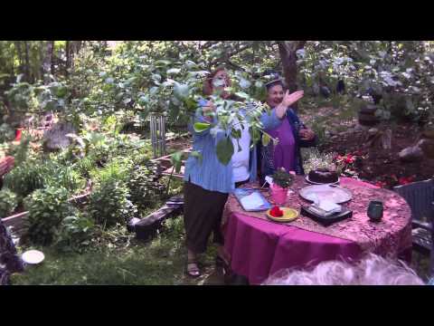 Eliza Schurman Birthday Cake #5.MOV