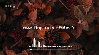 Ye Sari Baat(Lyrics)|| Rochak Kohli || By M S Roy